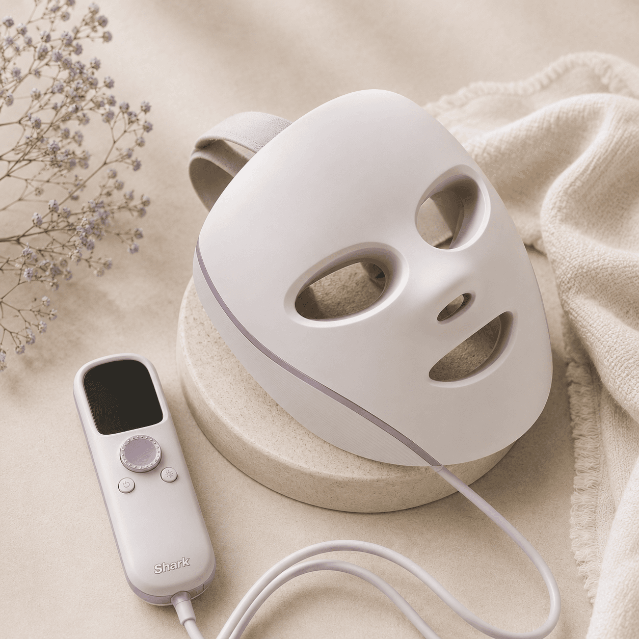The quiet glow of a 10-minute ritual cover image.